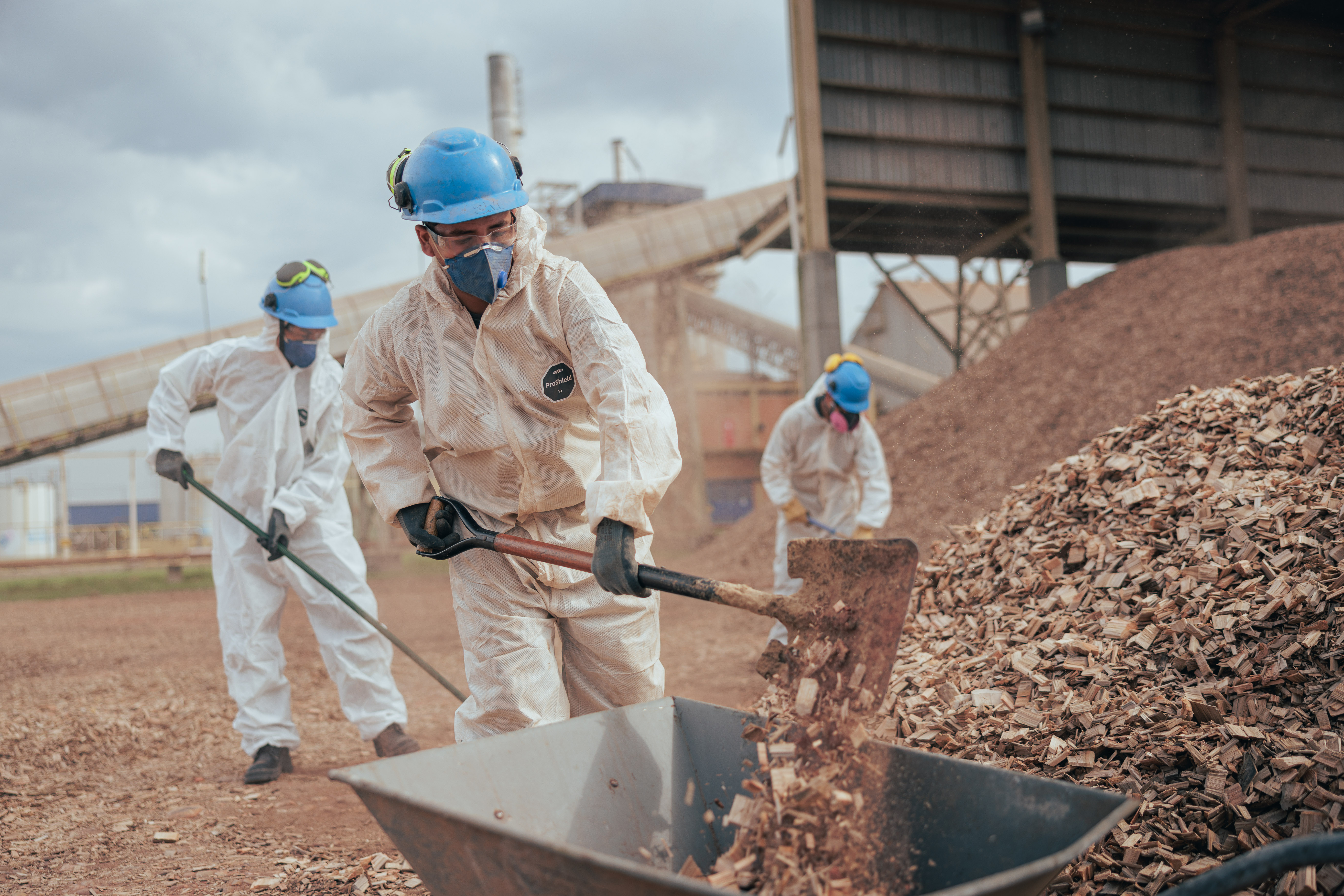 Trabajo en campo 2